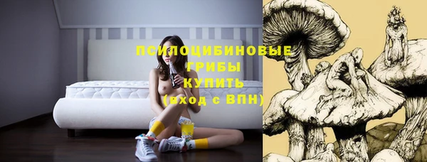 ешки Алексин