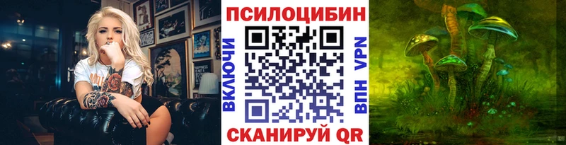 что такое наркотик  дарк нет наркотические препараты  Псилоцибиновые грибы Magic Shrooms  Данков 